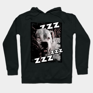 Sleeping White Boxer Hoodie